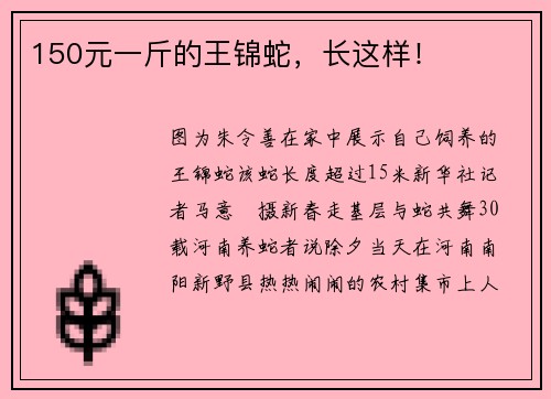 150元一斤的王锦蛇，长这样！