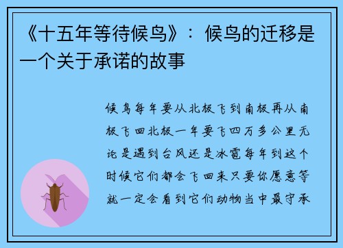 《十五年等待候鸟》：候鸟的迁移是一个关于承诺的故事