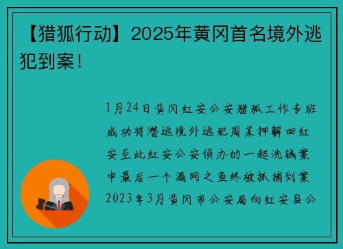 【猎狐行动】2025年黄冈首名境外逃犯到案！