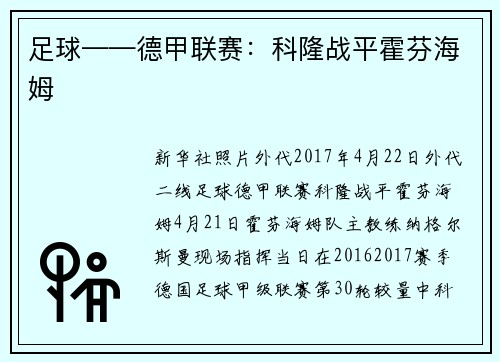 足球——德甲联赛：科隆战平霍芬海姆